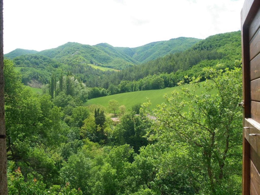 Agriturismo Orsaiola อูร์บาเนีย ห้อง รูปภาพ