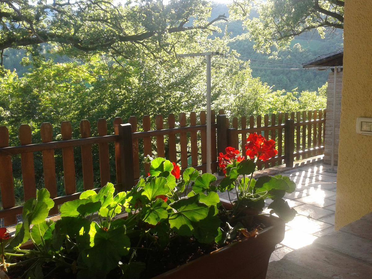Agriturismo Orsaiola อูร์บาเนีย ภายนอก รูปภาพ